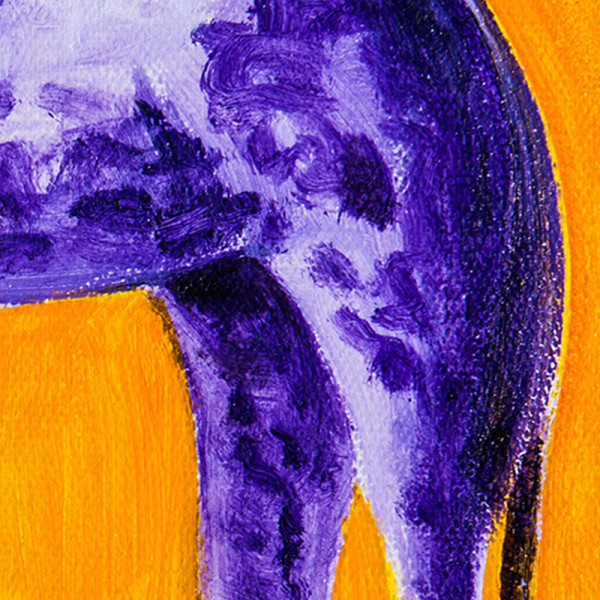 紫色的长腿垂耳狗  局部图