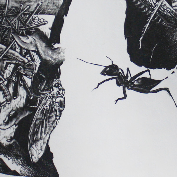 螳螂捕蝉-变色龙 局部图