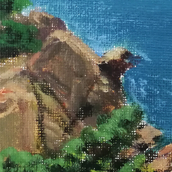 秋海 局部图