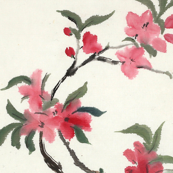 桃花 局部图