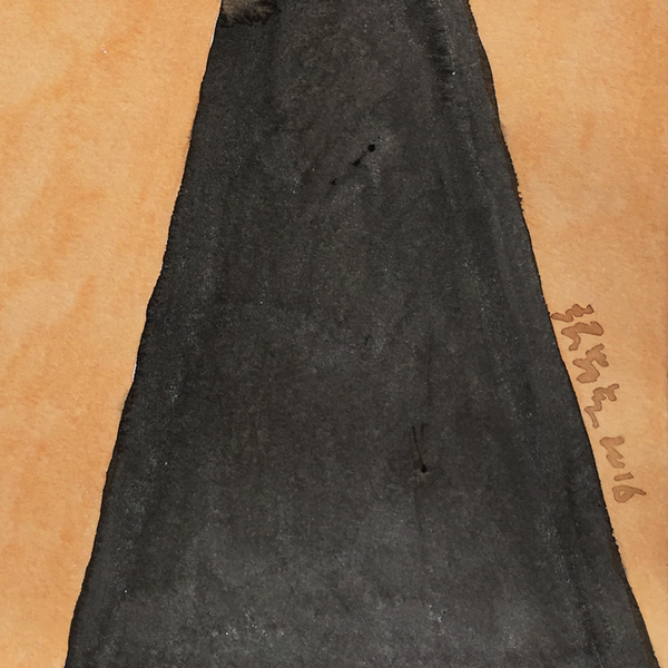 远处 局部图