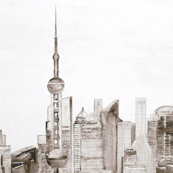 新山水-城市：上海 局部图