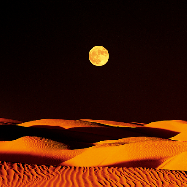 沙漠月夜  局部图