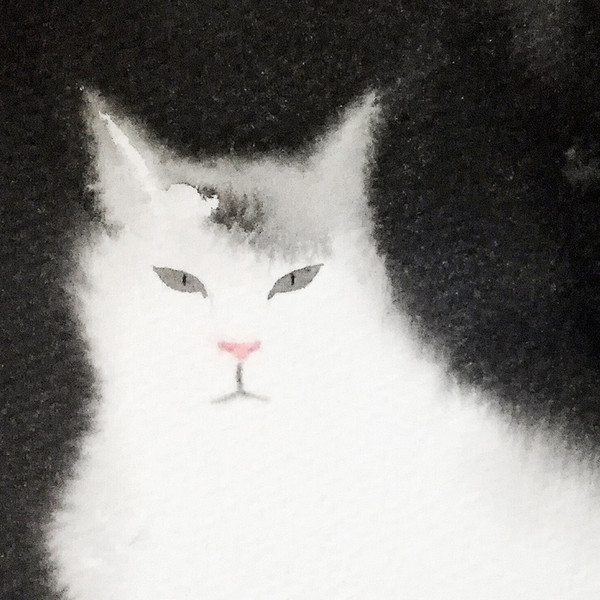 2019.10.25 局部图