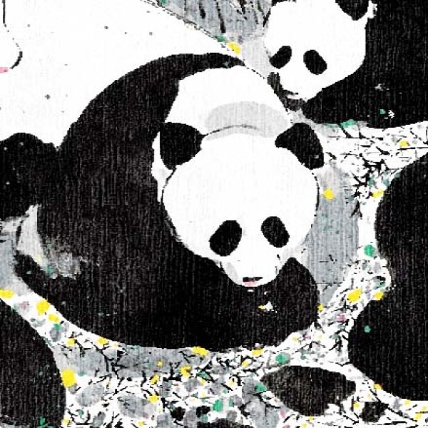 大熊猫 局部图