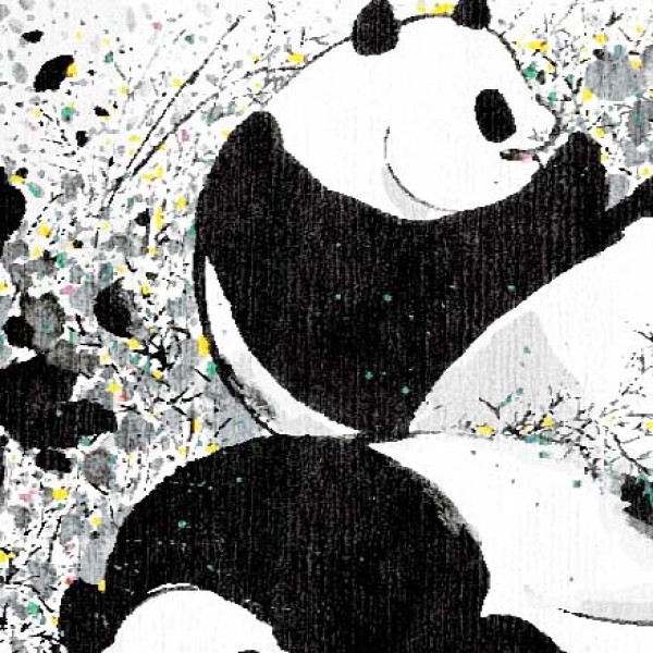 大熊猫 局部图