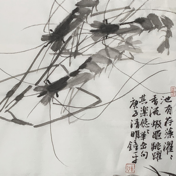 虾 局部图