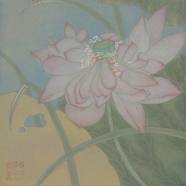 十二花神系列 之七月荷花 局部图