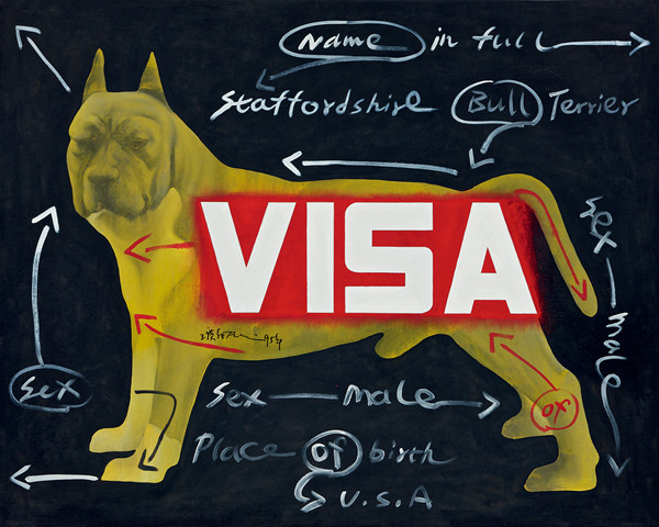 VISA