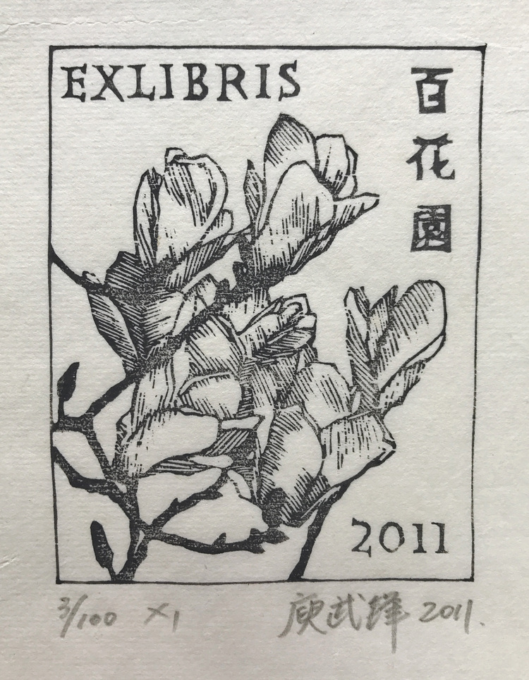 百花园2011