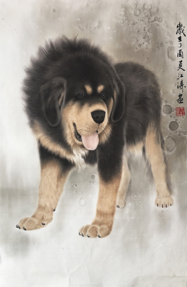 萌獒