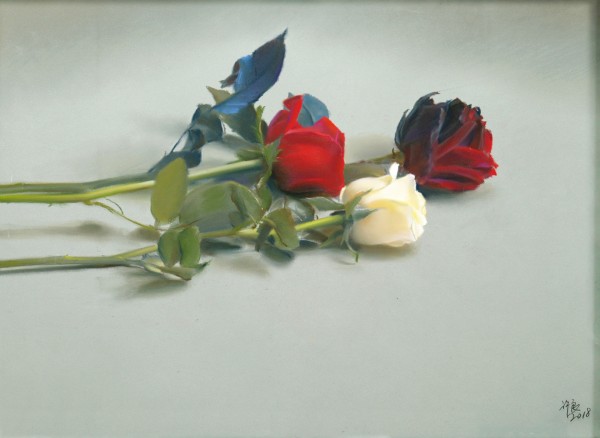 玫瑰的肖像020