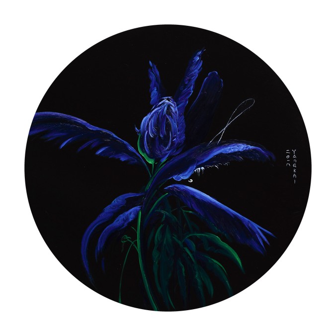 蓝色芭蕉2