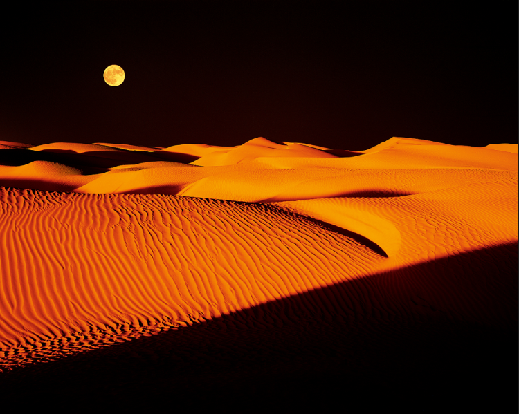 沙漠月夜 