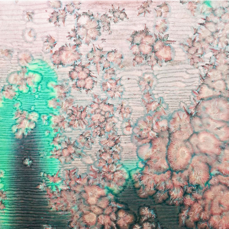 蔓 夏花 3 杨文萍 水彩 粉 艺网 上艺网 购艺术