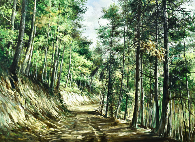 洒满阳光的林间小路
