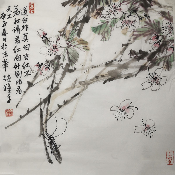 杏花