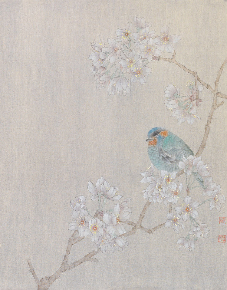 樱花肥啾 
