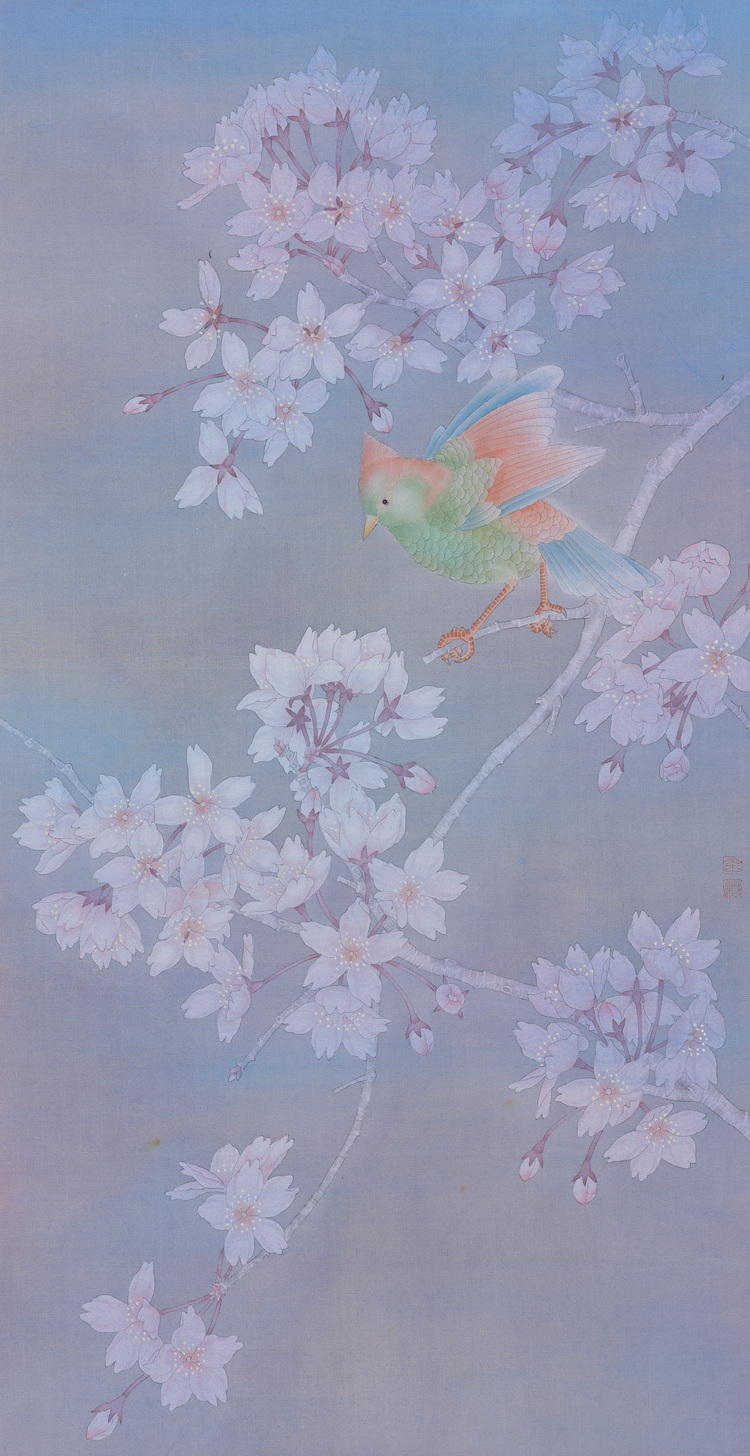 春樱 