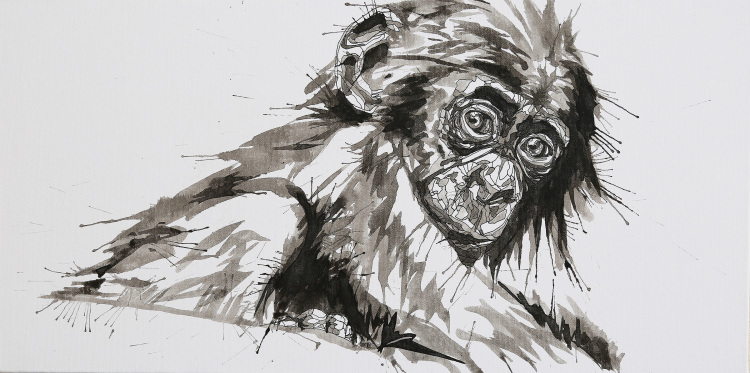 倭黑猩猩