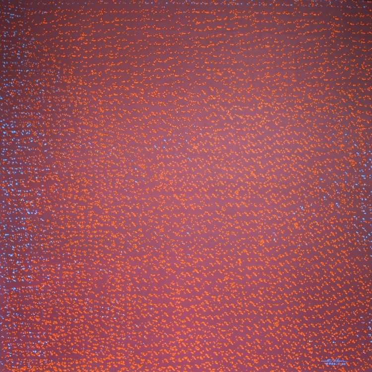 量子幽灵13号