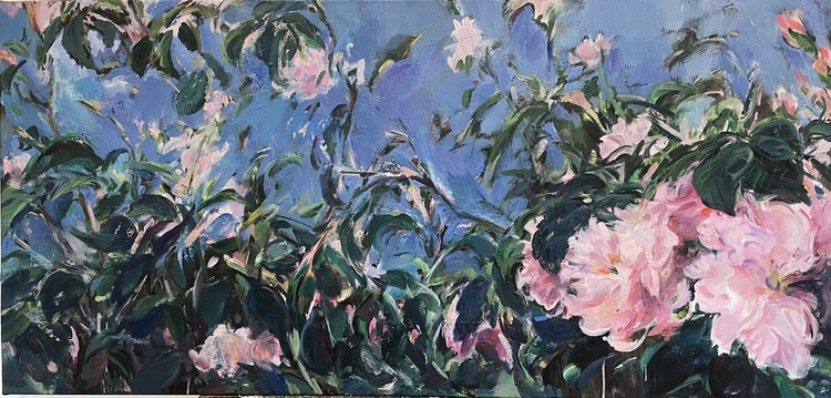 高原的花