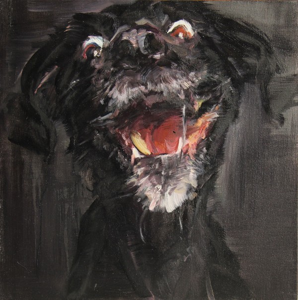 Dog dog dog!系列4