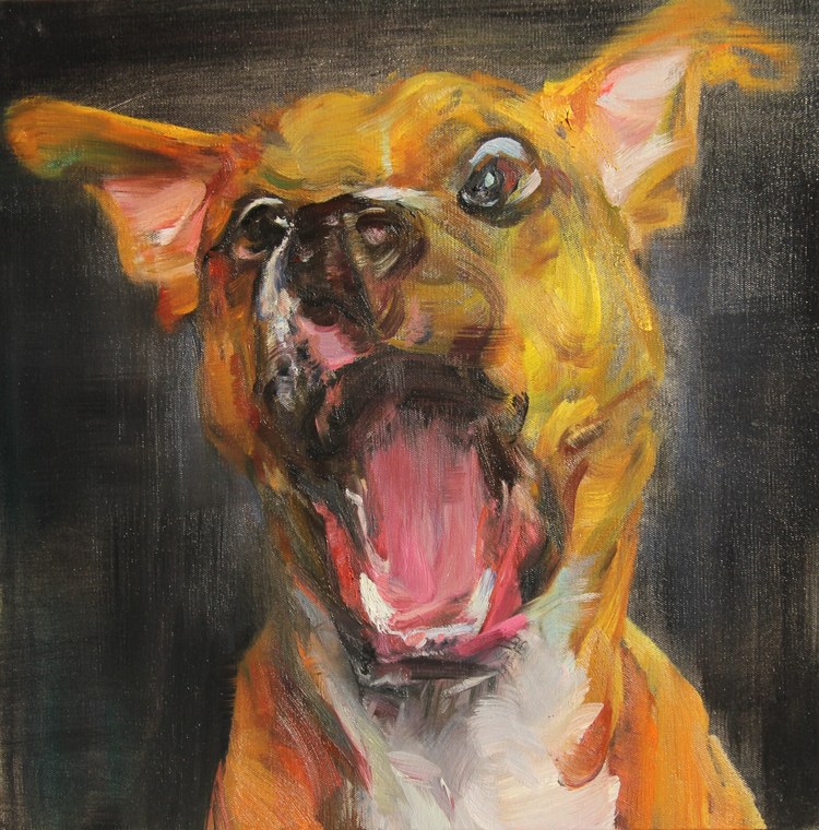Dog dog dog!系列3